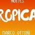 Noites Tropicais Marco Ottoni Remix