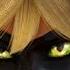 Cat Noir Vs Miraculous Ladybug Catnoir Carapace Renarouge Miraculous