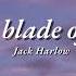 Vietsub Like A Blade Of Grass Jack Harlow Lyrics Video