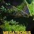 Who Is Megatronus Prime In Transformers One Transformersone Optimusprime Megatron