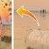 Creative Mobile Photography With Water Bottle To Go Viral Shorts