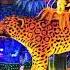 Join The Rio Carnival 2025 Magic Apply For Your Brazil Visa Now