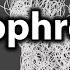 Drei Phasen Der Schizophrenie Krankheitsverlauf