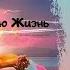 Познание действие развитие