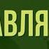 ЭТО ДУА ИЗБАВИТ ВАС ОТ ДОЛГОВ ИН ШАА АЛЛАХ СЛУШАЙТЕ КАЖДЫЙ ДЕНЬ