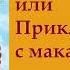 гл 3 Путь Кассандры или Приключения с макаронами Юлия Вознесенская аудиокнига