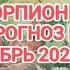 СКОРПИОН ТАРО ПРОГНОЗ НА ДЕКАБРЬ 2024