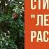 Иван Бунин Лес точно терем расписной фрагмент стихотворения