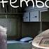 ASMR Femboy ASMR Asian Roommate Try To Educate You On Femboys