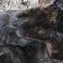Chained Starved And Eaten By Flies He Waited To Die Until One Kind Soul Finally Came