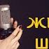 ВКЛЮЧИ и НАСЛАЖДАЙСЯ ТОЛЬКО НОВАЯ МУЗЫКА СБОРНИК ТОП 10 ЖЕНСКОГО ШАНСОНА 2025