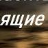 Другого пути нет Игумен Никон Воробьев