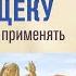 Подставь левую щеку Как понимать и применять прот Александр Проченко R I S