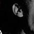 Jacques Brel Quand On N A Que L Amour Live Officiel Casino De Knokke 1963