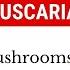 Amanita Muscaria Vs Psilocybin Mushrooms What S The Difference