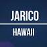 TECHNOZEK Jarico Hawaii