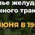 Здоровье желудочно кишечного тракта