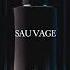 DIOR Sauvage Sound Design Music Sounddesign Animation Motion Design Advertising