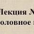 Обществознание Уголовное право РФ