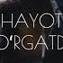 Sherzod Karim Hayot Oʻrgatdi