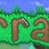 Terraria OST Jungle Day Extended