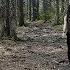 Maskwa Trail Charlie S Lake Halifax Nova Scotia Canada Travel Vlog