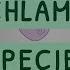 All You Need To Know About Chlamydia Species