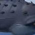 Ice Age Cretaceous And Maelstrom AMV