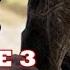 Assassin S Creed Legacy Of The First Blade Episode 3 All Darius Scenes