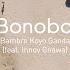 Bonobo Bambro Koyo Ganda Feat Innov Gnawa Official Video