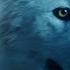 Faraon The Moments 4K UHD Video