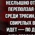 Мик африканская поэма Николай Гумилёв читает Павел Беседин