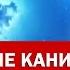 Бесконечные каникулы Бесконечное лето мод Поход 8