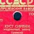 КУСТ СИРЕНИ медленный танец Оркестр