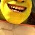 Shrek Forever After The Old Shrek Scene