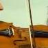 Focus Fortis String Quartet