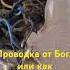 Как не нужно делать любое дело в частности электропроводку электропроводка электромонтаж