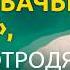 Таких помоев как Собачье сердце никто отродясь не снимал Так оценили картину в 1988 году кино