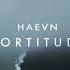 HAEVN Fortitude