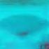 Preview 2 King Shark Bus Effects Sponsored By Preview 2 Unikitty Crying Effects