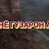 17 мая 2020 г