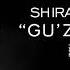 Shiraz Nuratdinov Gu Zgi Jawinda Шыраз Нуратдинов Гұзги жауында ARXIV QOSIQLAR