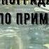 Спасатель винограда 3 в 1 инструкция по применению