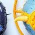 YES Bakugan Transformers CYBERTRON PRIMUS And UNICRON Today Is My Birthday By 5mintoy