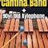 Cantina Band On A 90 Year Old Xylophone Starwarsmusic Starwars Percussion Shorts