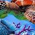 Relaxing Music With Ocean Waves Beautiful Piano Sleep Music Stress Relief