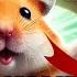 Hamster Kombat СРОЧНО ГОТОВЯТ ПАМП НА 100 ПЕРЕД НАЧАЛОМ 2 ОГО СЕЗОНА АНОНСИРУЮТ РОСТ HMSTR