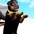 PLAYING As CHOP S PUPPY In GTA 5