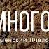 Бакфаст очень много пчёлы