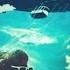 Capital Cities Safe And Sound Instrumental